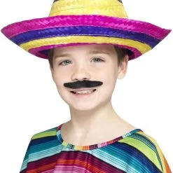 Grote Vrolijke Zonnehoed Sombrero